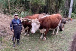 Invierno 2020