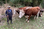 Invierno 2020