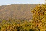 Vista general bosque