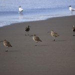 biodiversidad
