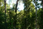 lasmercedes