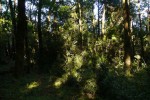 lasmercedes20_750