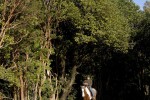 terrenos
