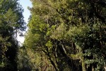 terrenos