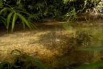 terrenos