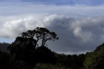 terrenos