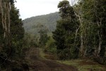 terrenos