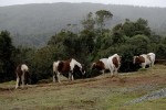 terrenos