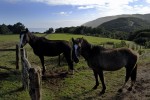 terrenos