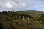 terrenos