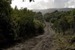 terrenos