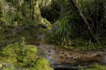 terrenos