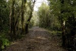 terrenos