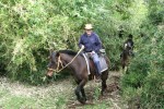 terrenos