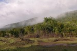 terrenos