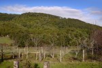 terrenos