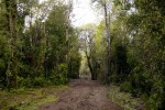 terrenos