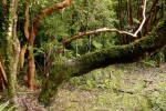 terrenos