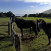 terrenos11