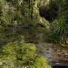 terrenos16